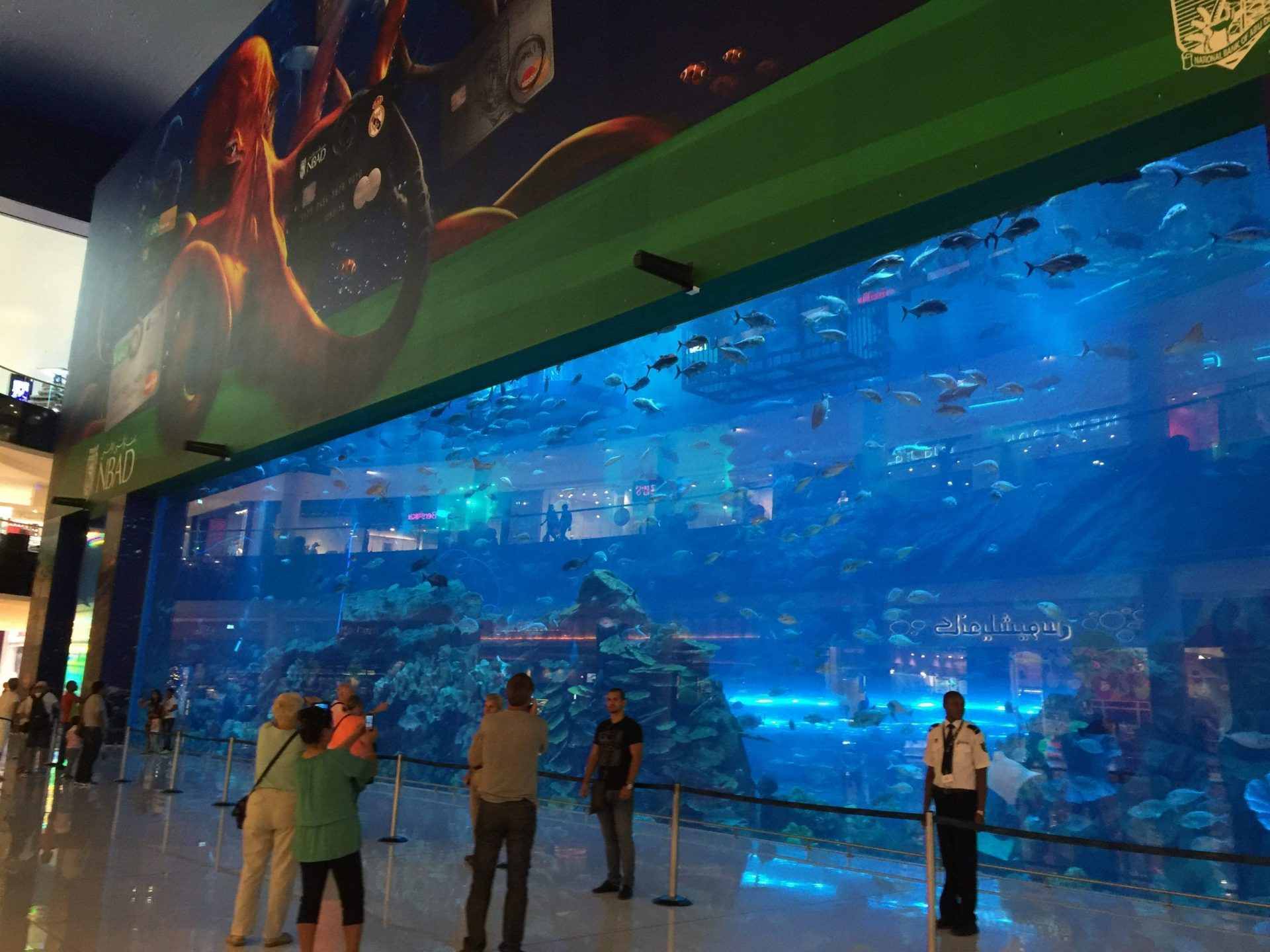 aquarium-dubai