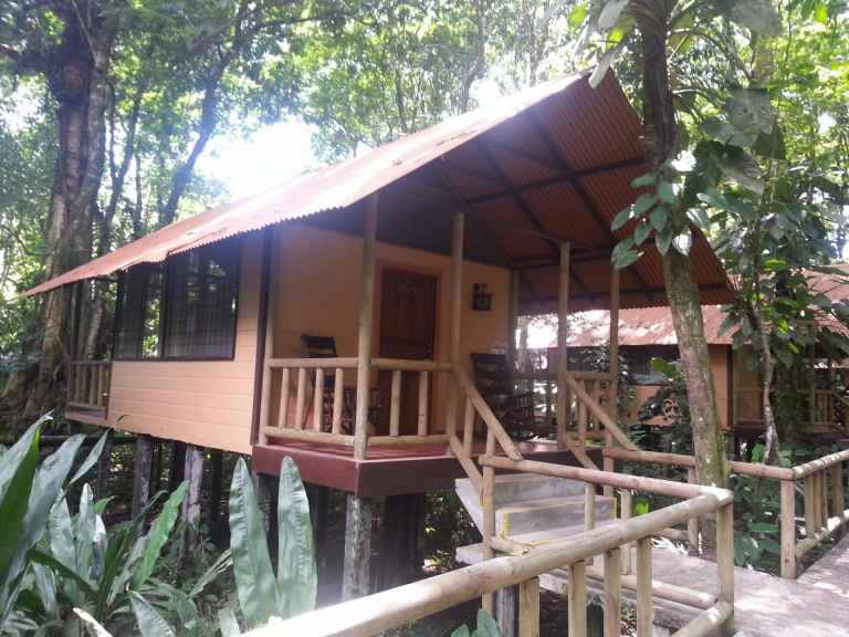 cabaña-tortuguero