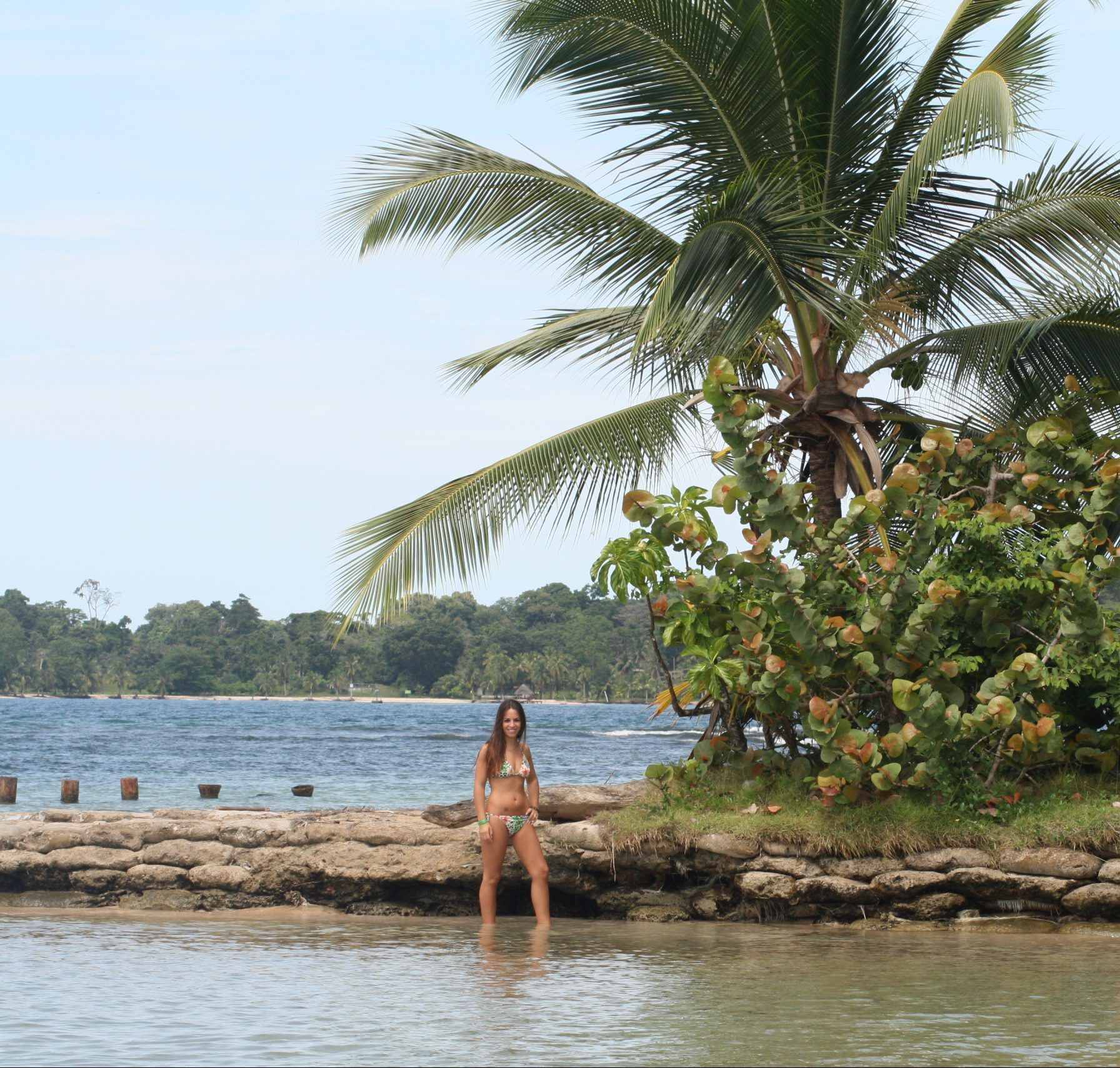 bocas-del-drago