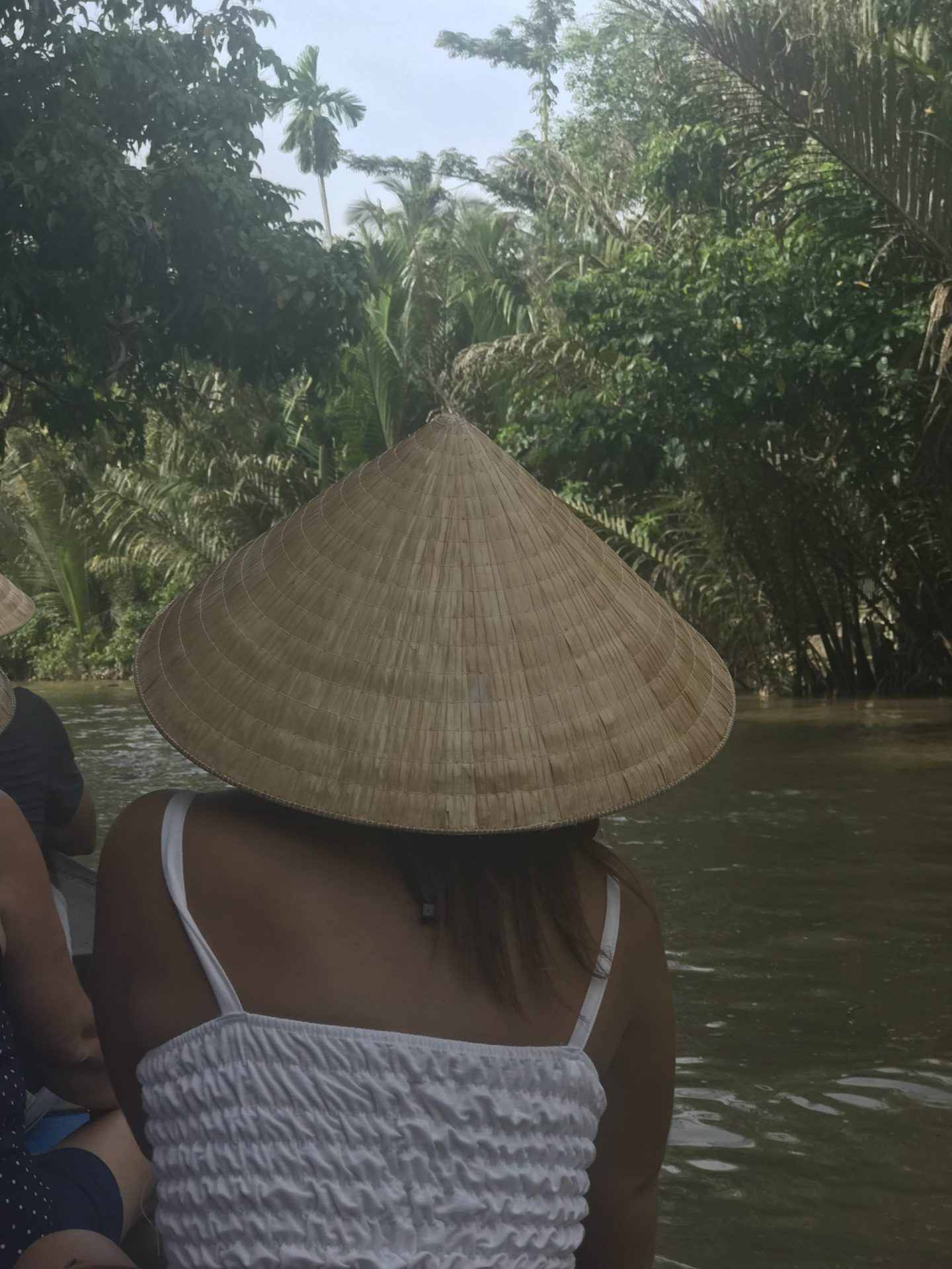 delta-mekong
