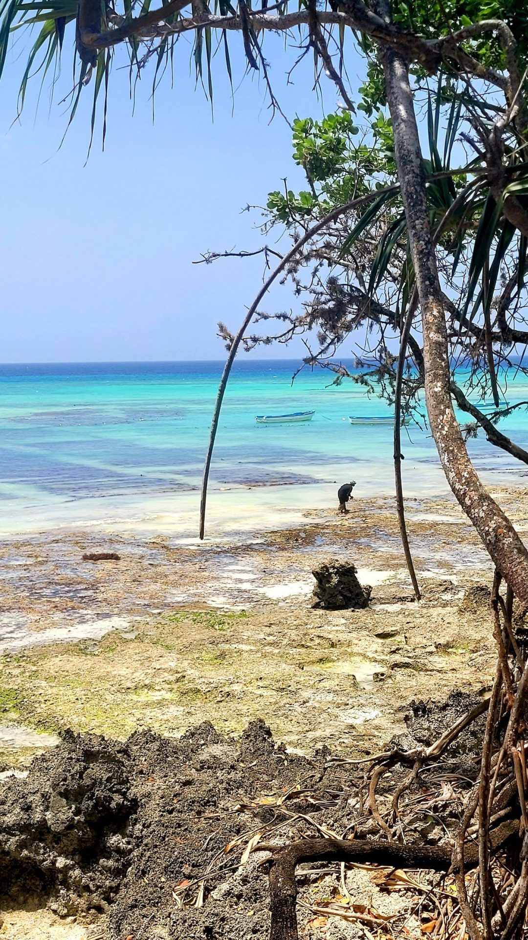 PEMBA