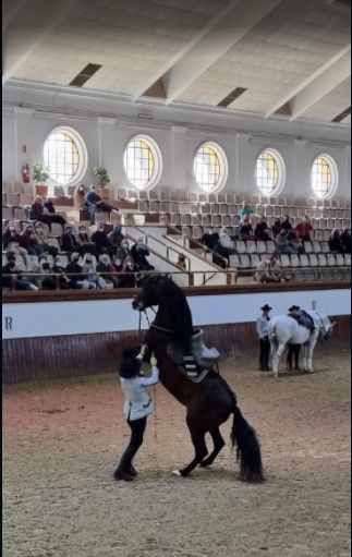 doma-clasica-jerez-frontera