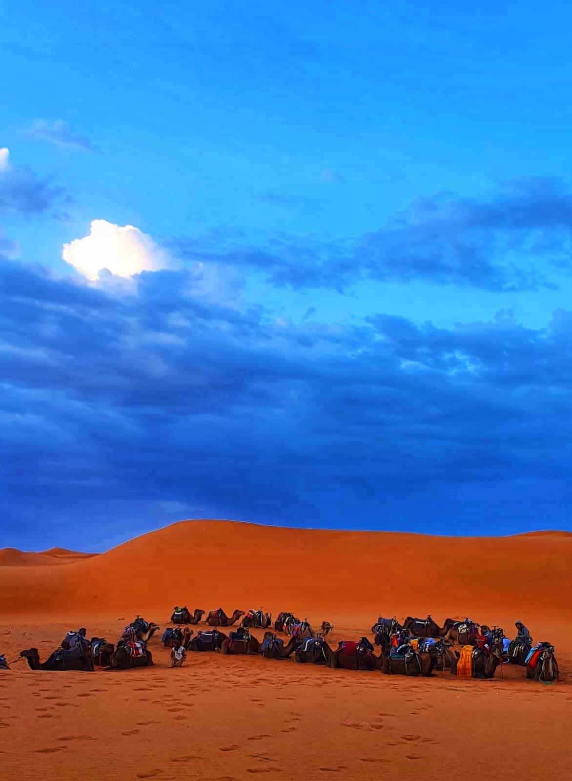 Desierto Mezourga00009