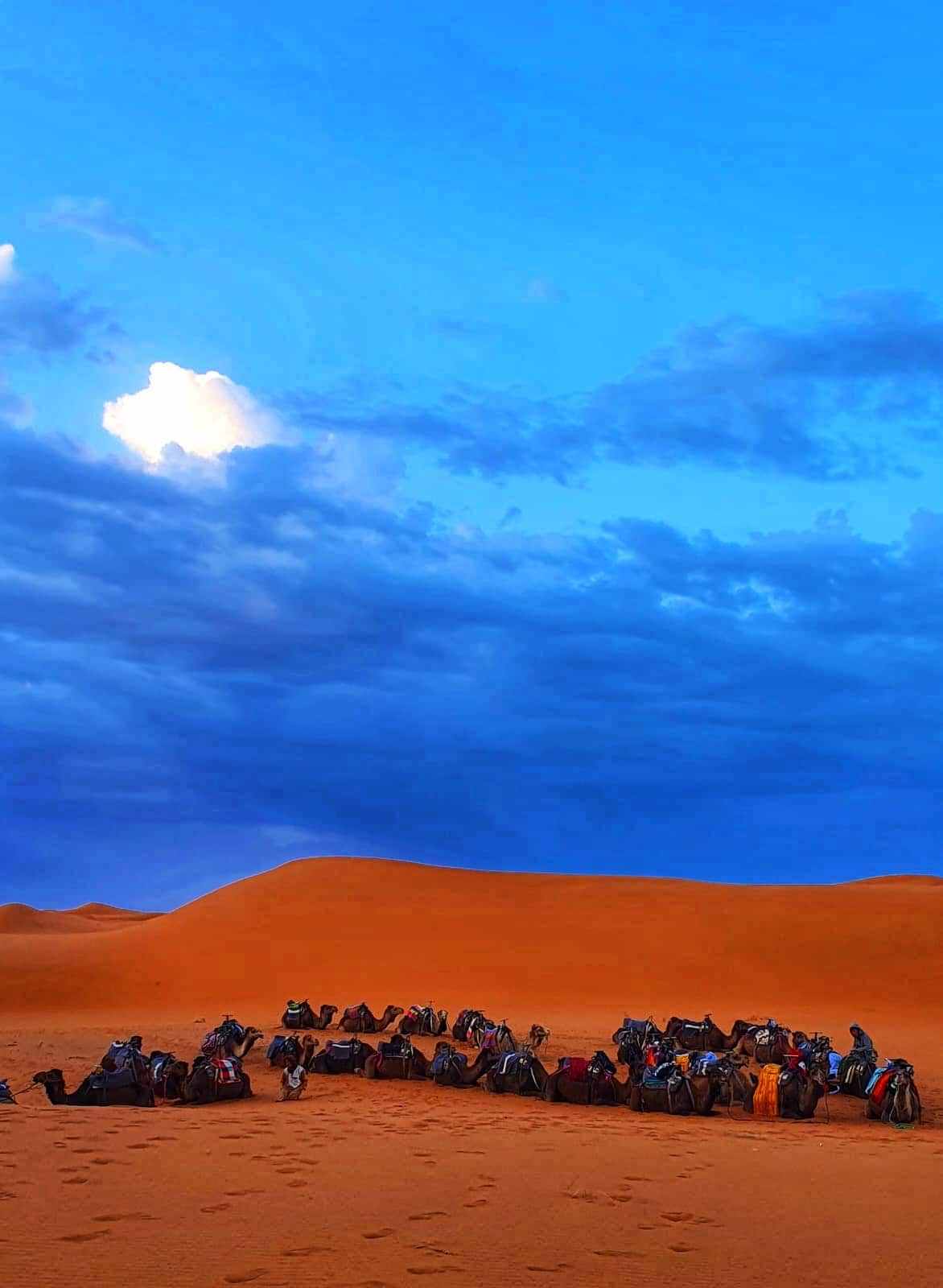 desert
