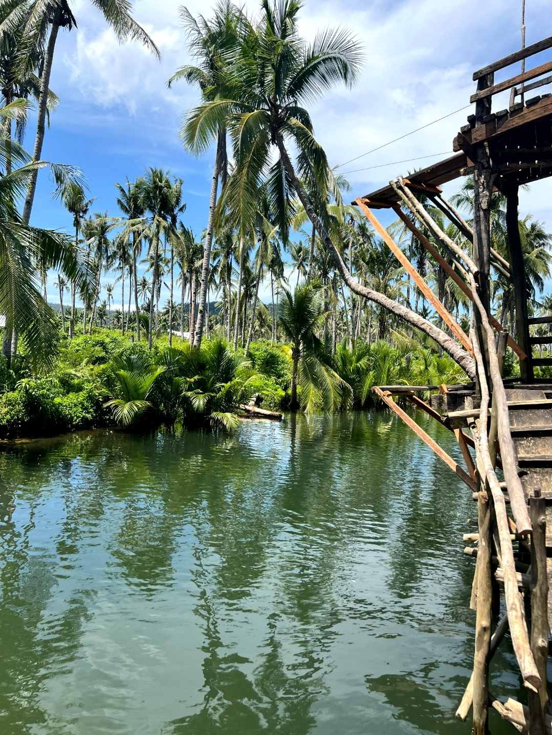 maastin-river